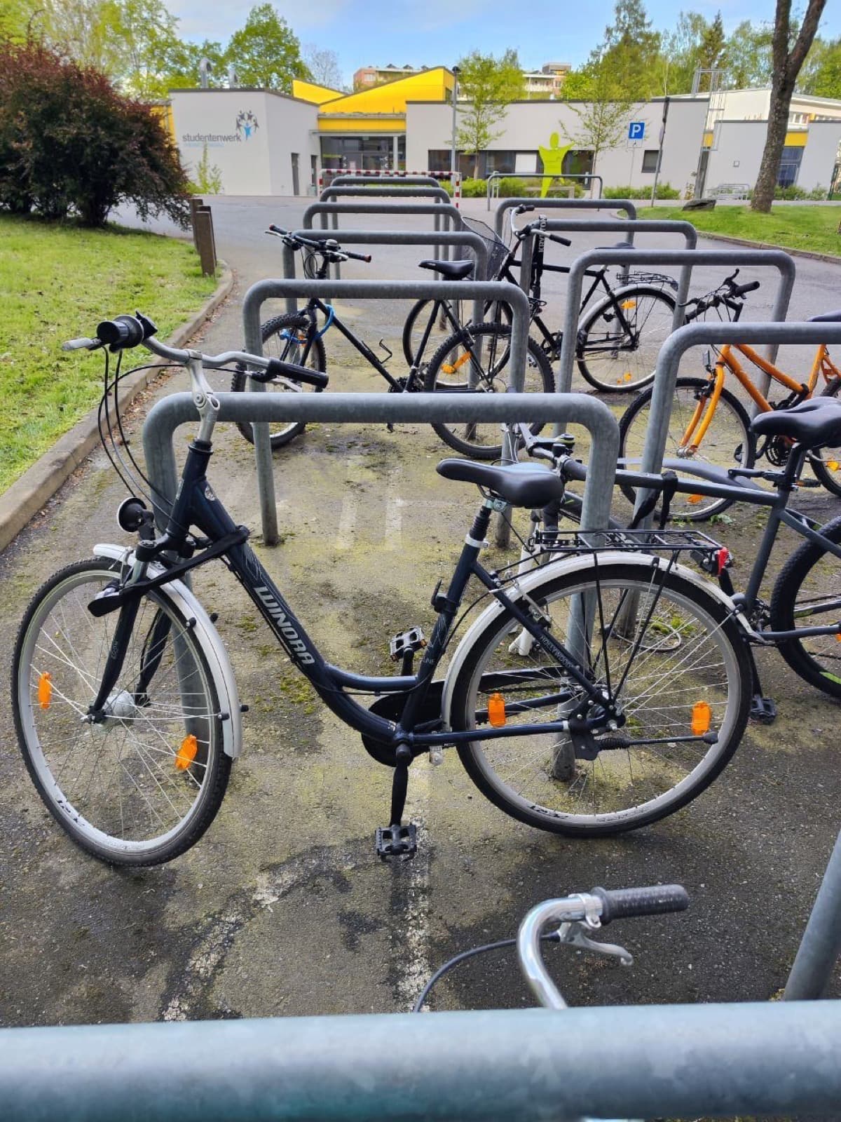 A bike for 30 euros