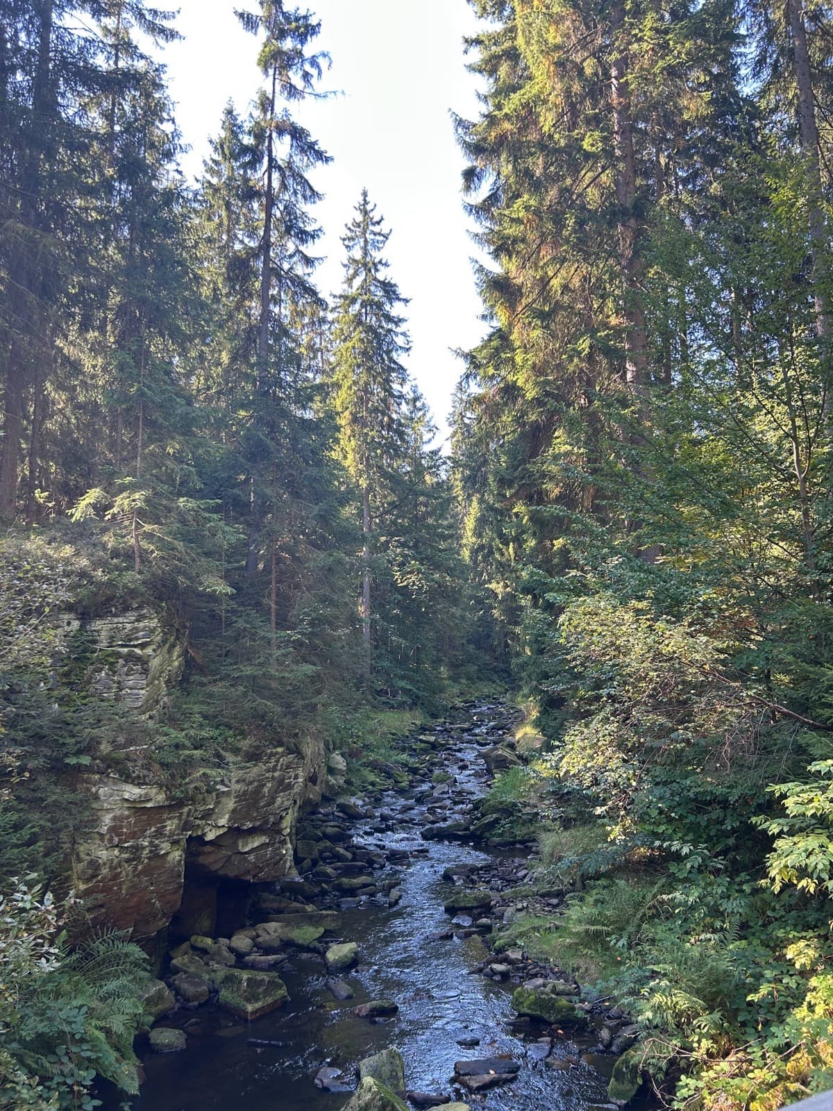 Hiking in the Saxon forest