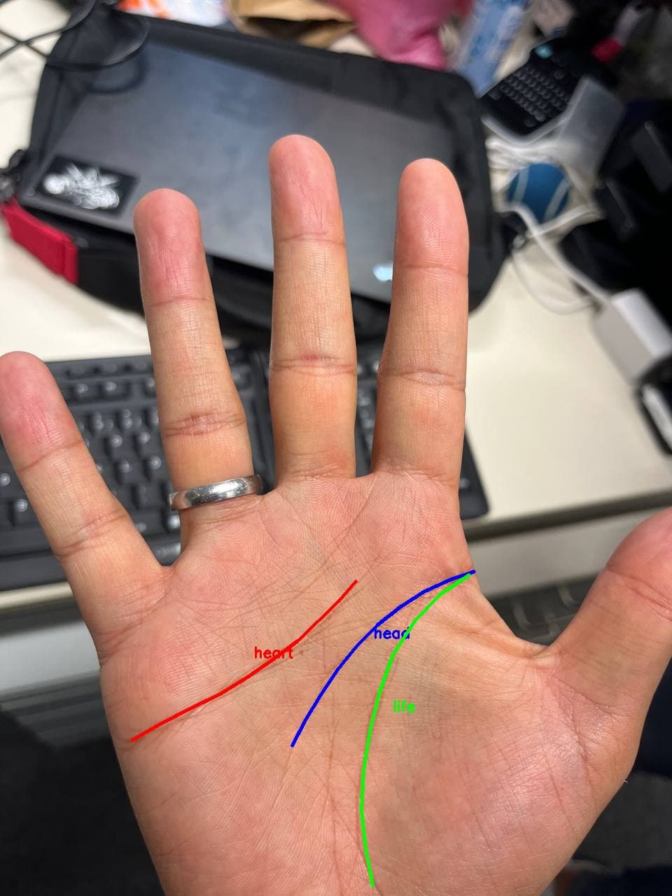AI palmistry reading result screen